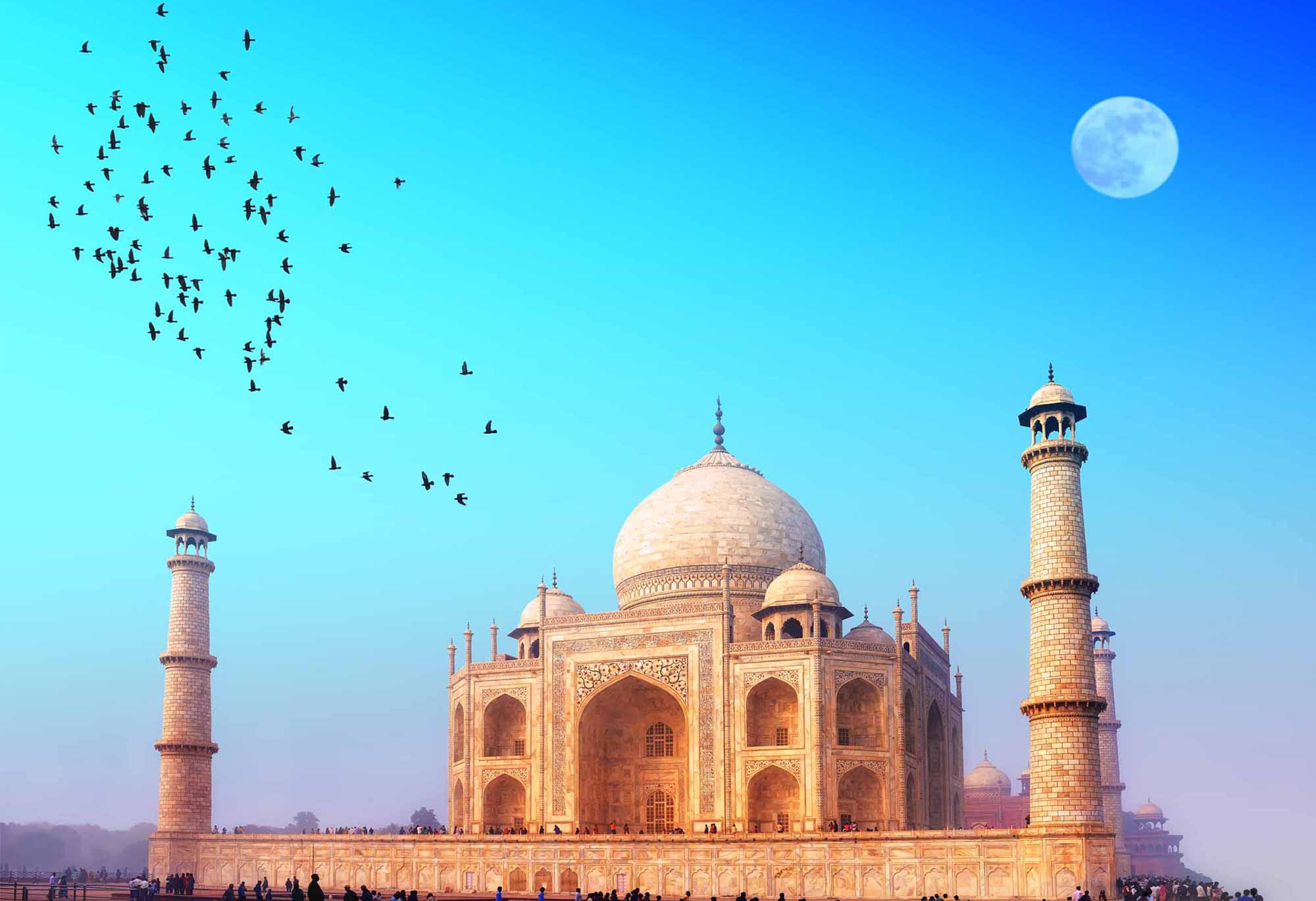 the taj mahal tour