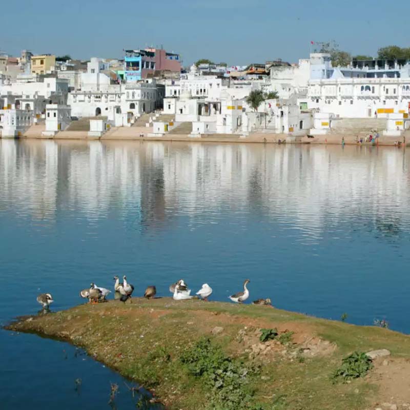 Golden Triangle Tour with Pushkar