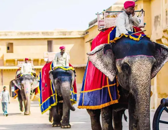 7 Days Golden Triangle Tour - Delhi, Agra & Jaipur in One Unforgettable Week