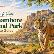 Best Time to Visit Ranthambore