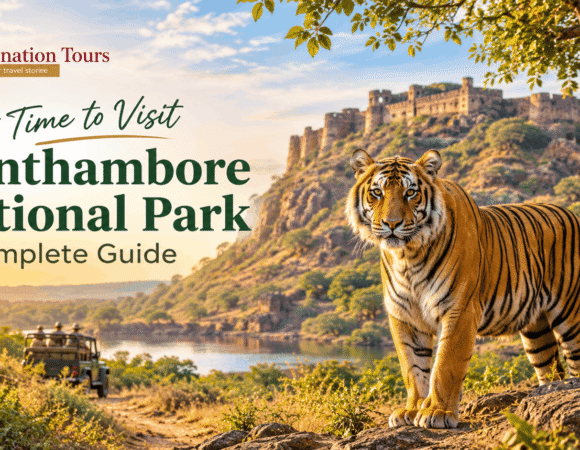 Exploring the Wild: Finding the Best Time to Visit Ranthambore National Park